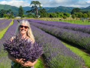 Lavender Abbey