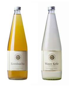 Water Kefir and Kombucha